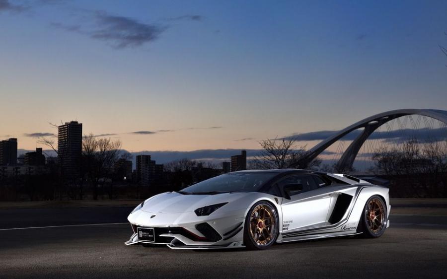 Lamborghini Aventador S by Rowen 2018 года  (фото 8 из 15)